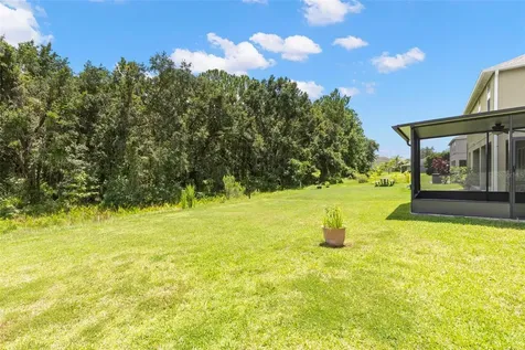20405 Autumn Fern Avenue Tampa FL 33647