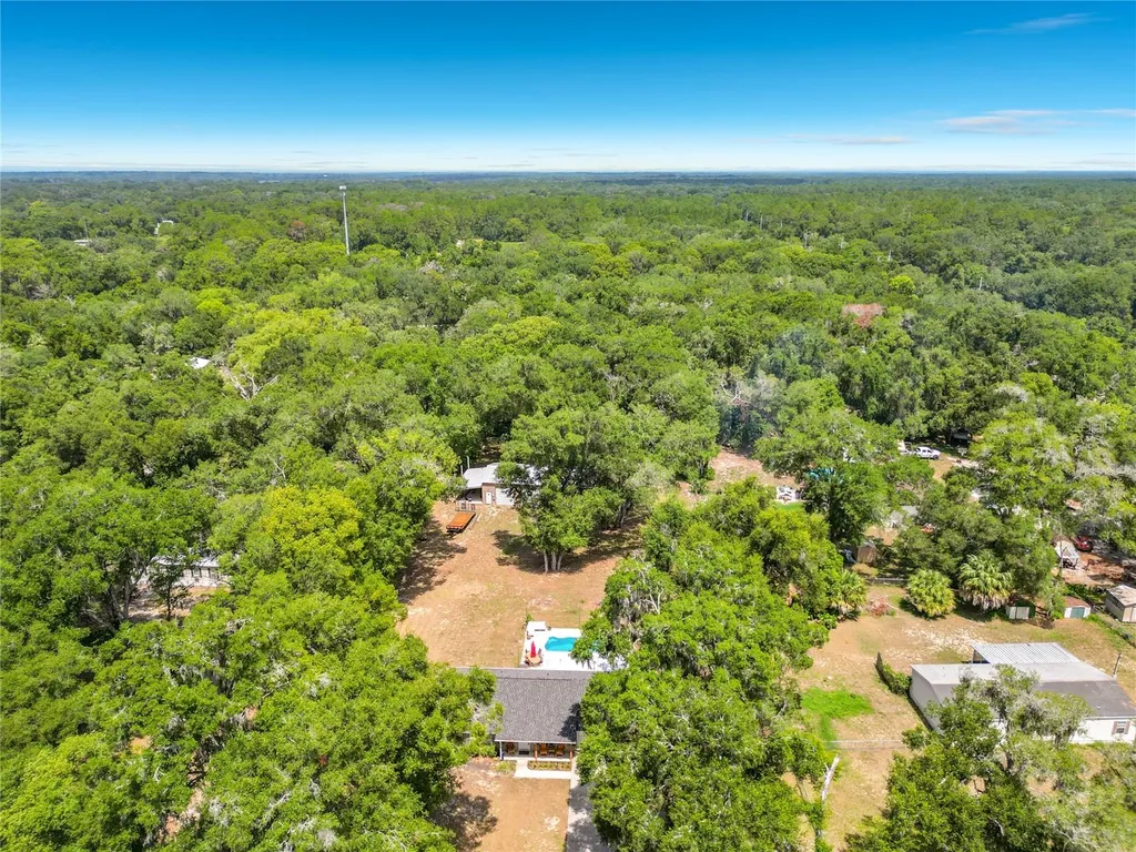 12290 SE 141st Avenue Road Ocklawaha FL 32179