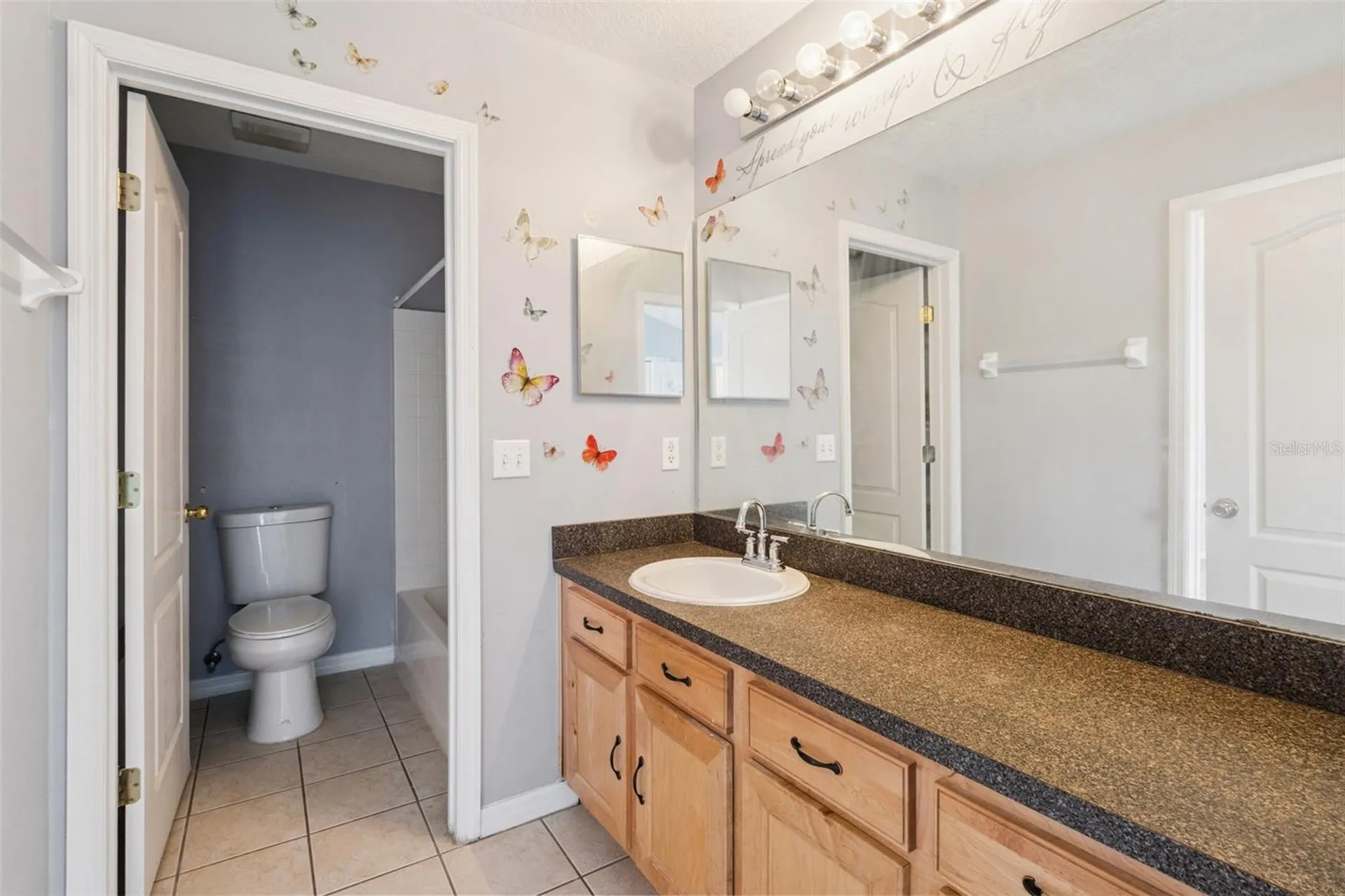 435 Scrub Jay Way Davenport FL 33896
