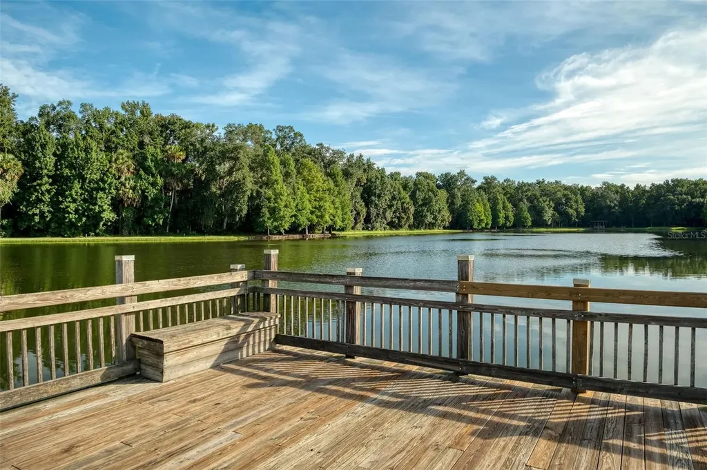 920 Pawstand Road Celebration FL 34747