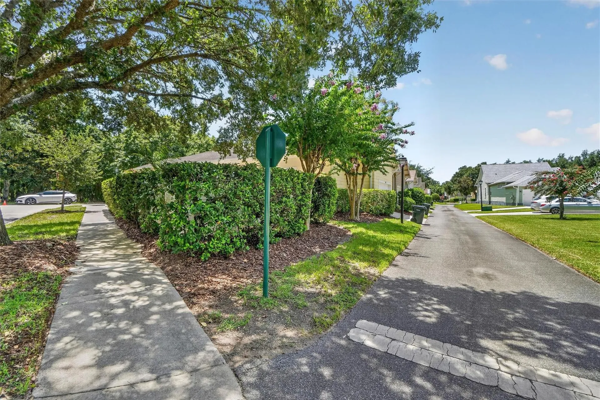 920 Pawstand Road Celebration FL 34747