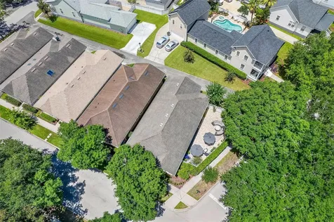 920 Pawstand Road Celebration FL 34747