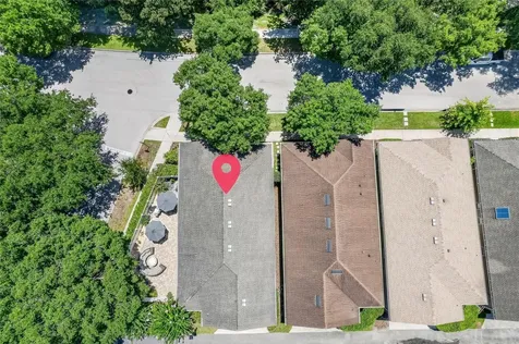 920 Pawstand Road Celebration FL 34747