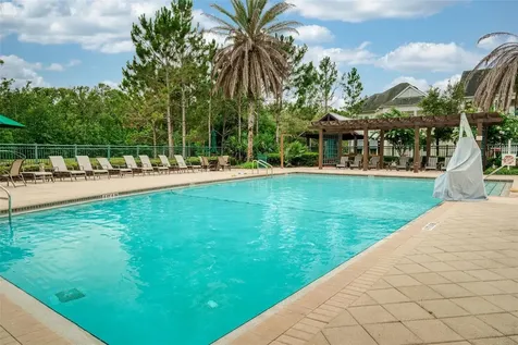 920 Pawstand Road Celebration FL 34747