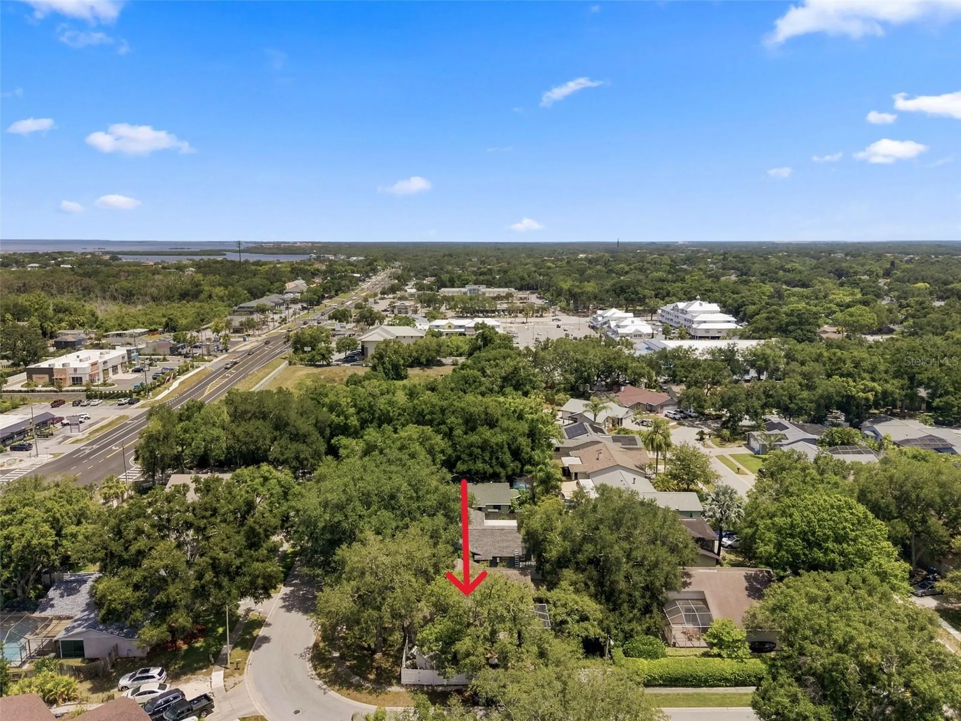 627 Crystal Drive Palm Harbor FL 34683