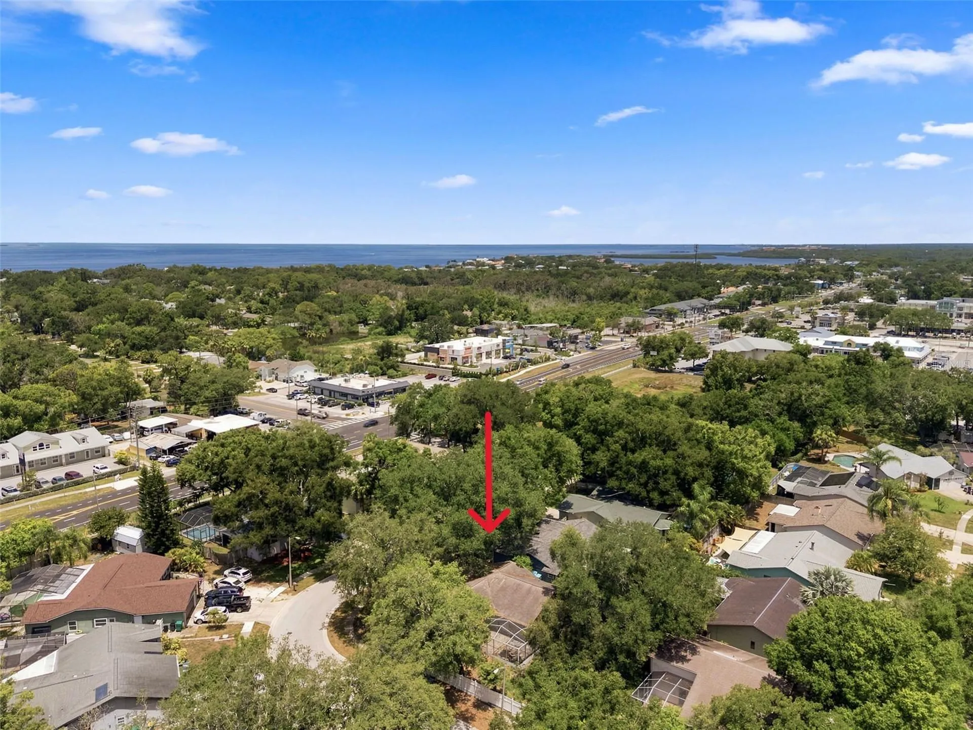 627 Crystal Drive Palm Harbor FL 34683