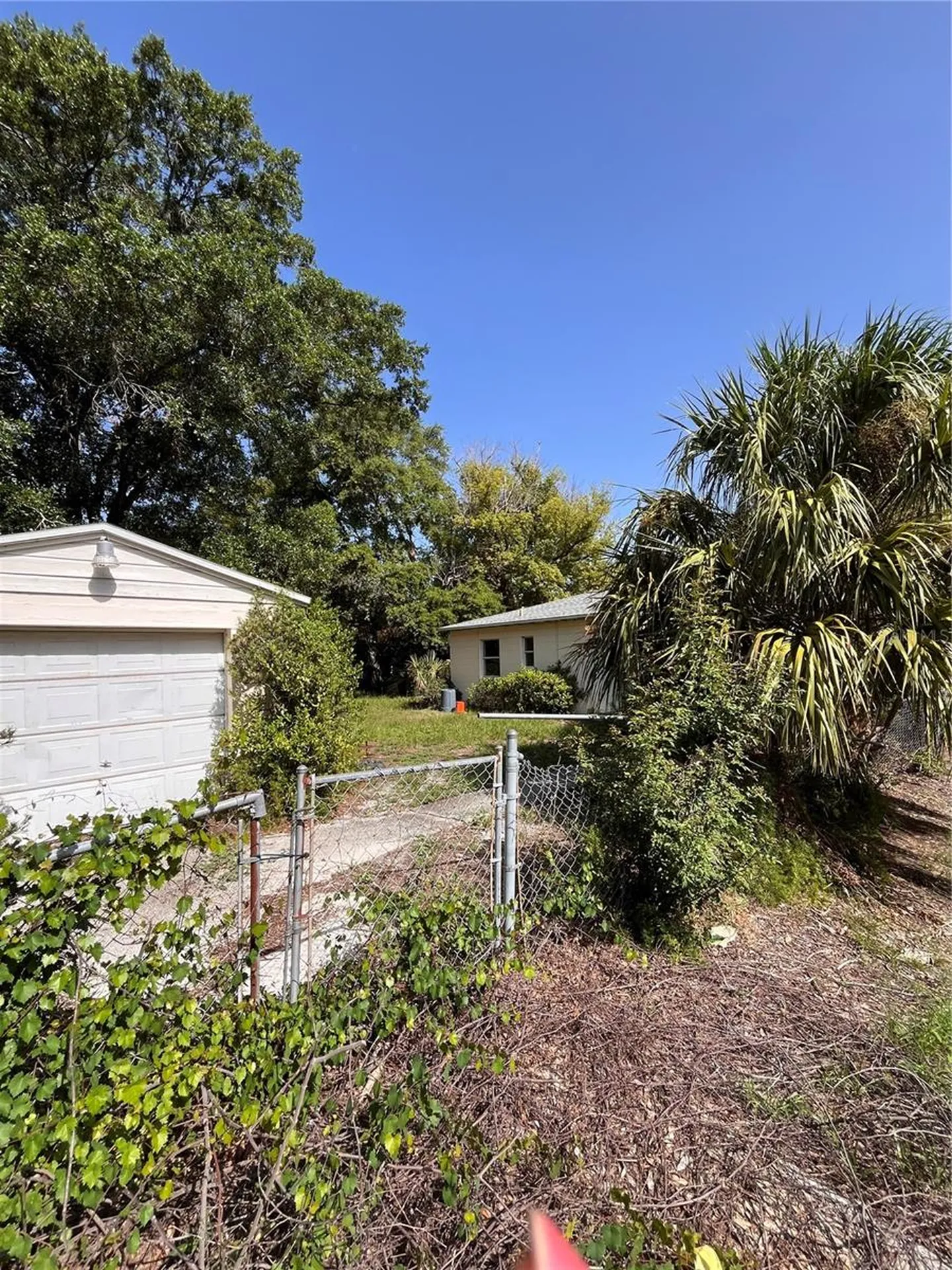 3702 Ohio Avenue Tampa FL 33611