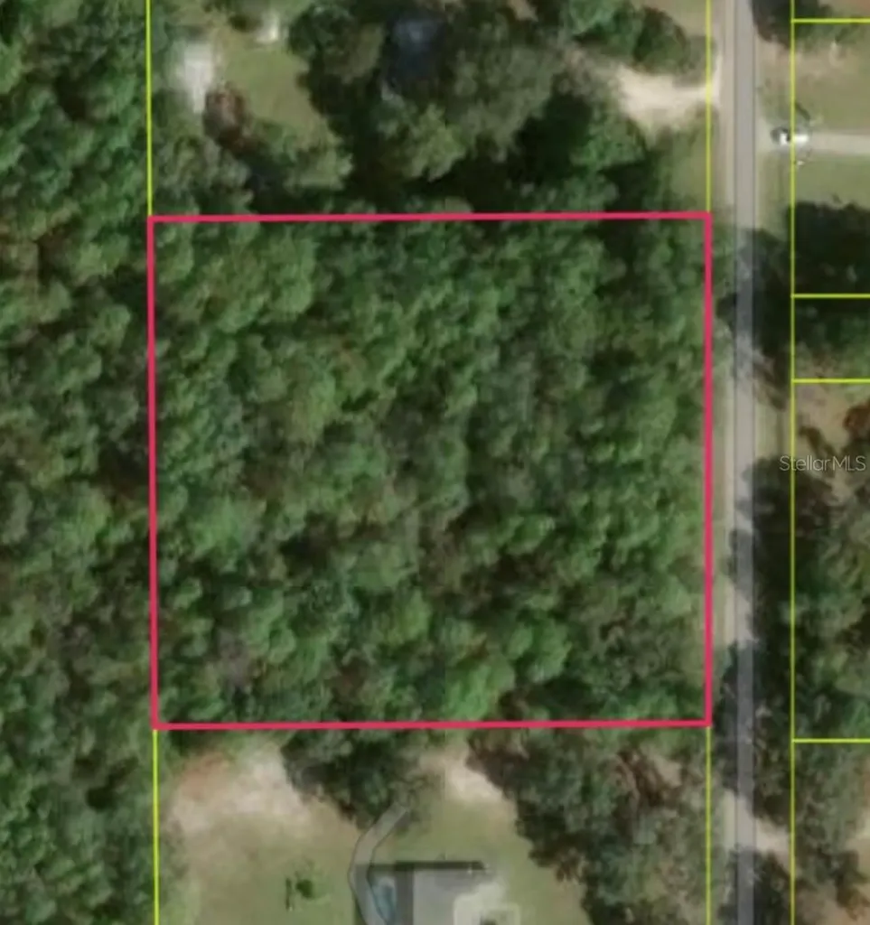 1864 S S Colonial Avenue Homosassa FL 34448