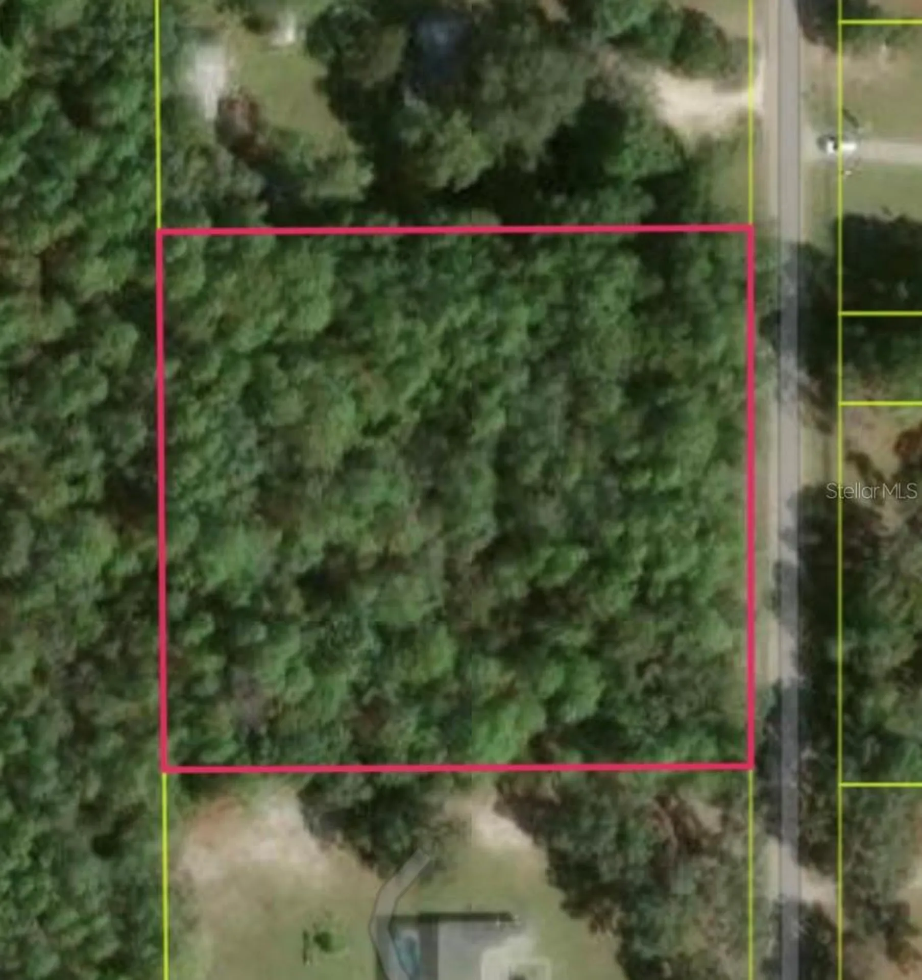 1864 S S Colonial Avenue Homosassa FL 34448