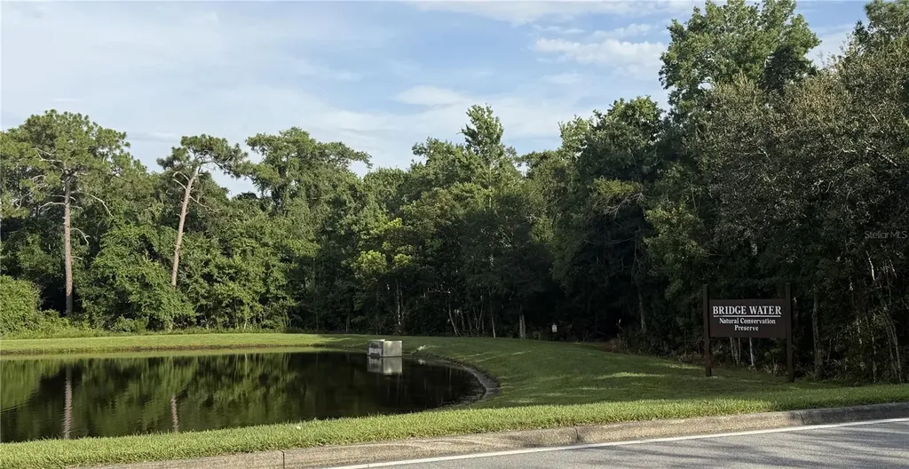 923 Bridgeway Boulevard Orlando FL 32828