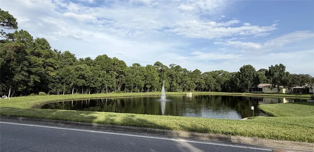 923 Bridgeway Boulevard Orlando FL 32828