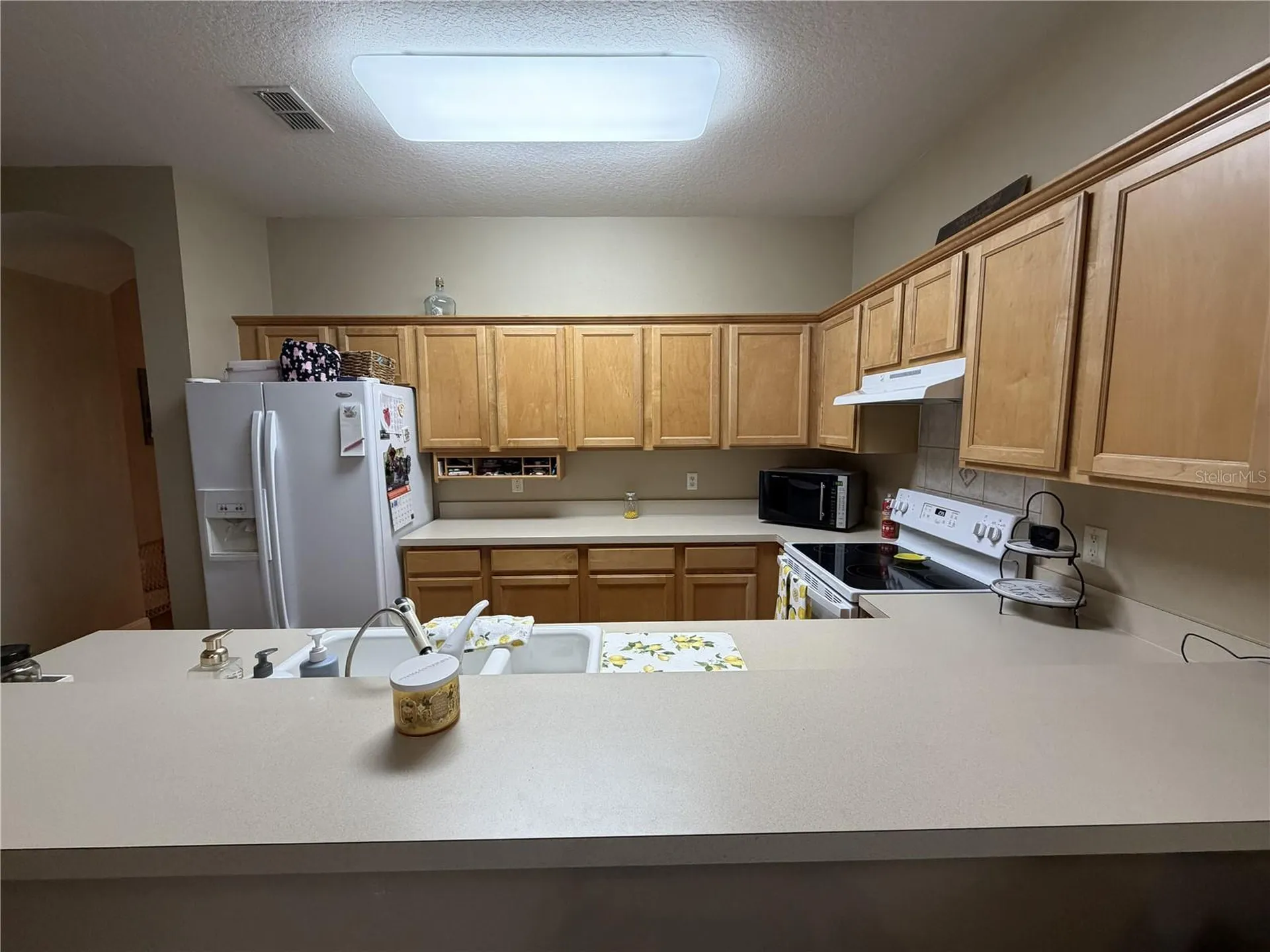 923 Bridgeway Boulevard Orlando FL 32828