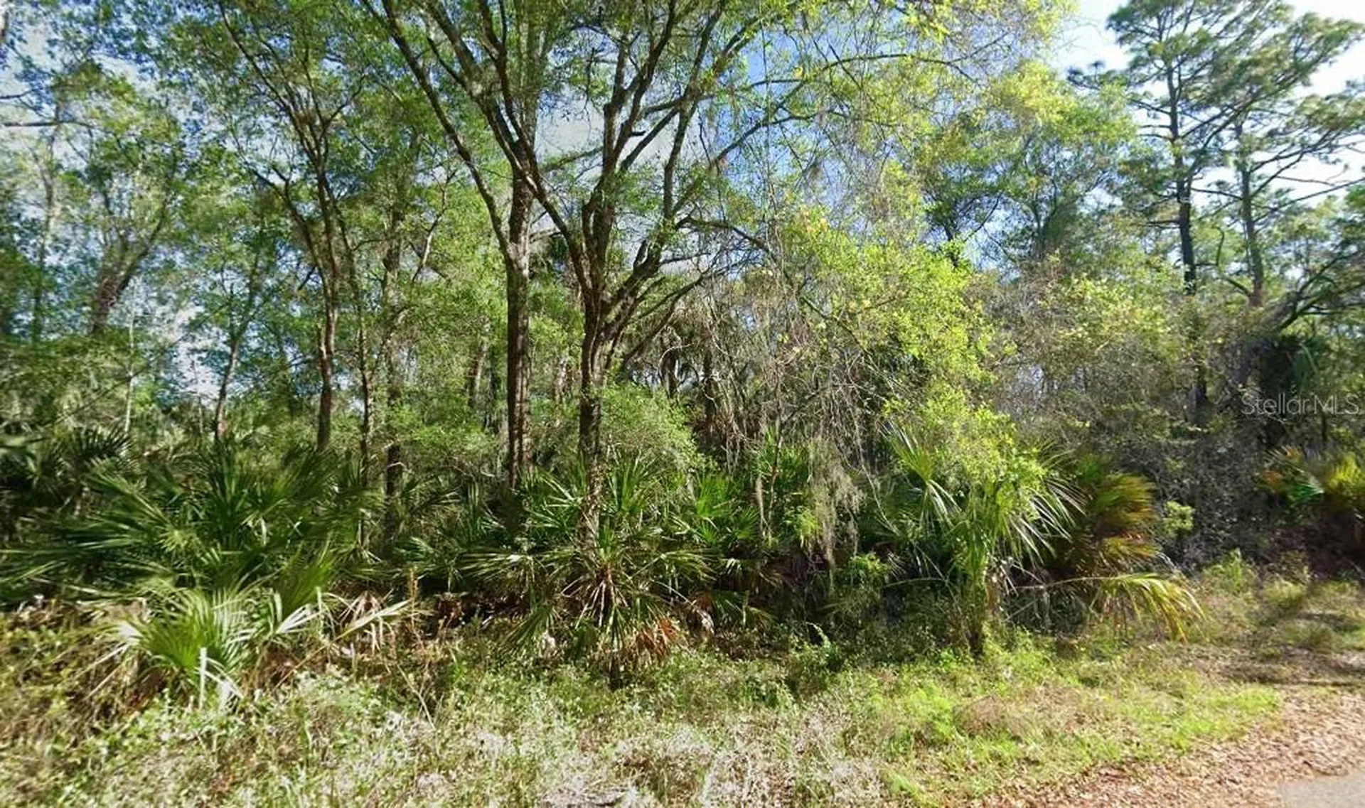 Crystal River FL 34428