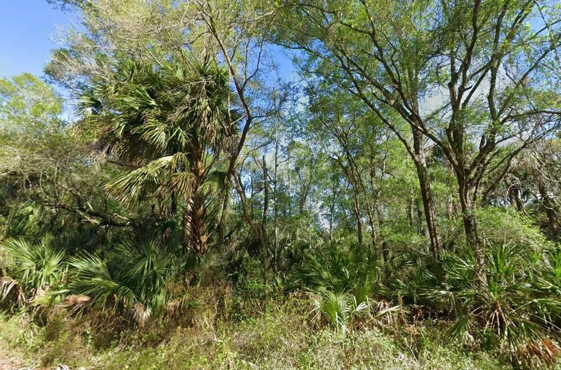 Crystal River FL 34428