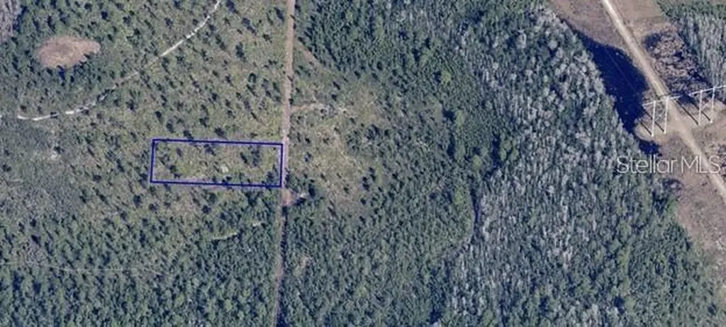 Dill Road Orlando FL 32820