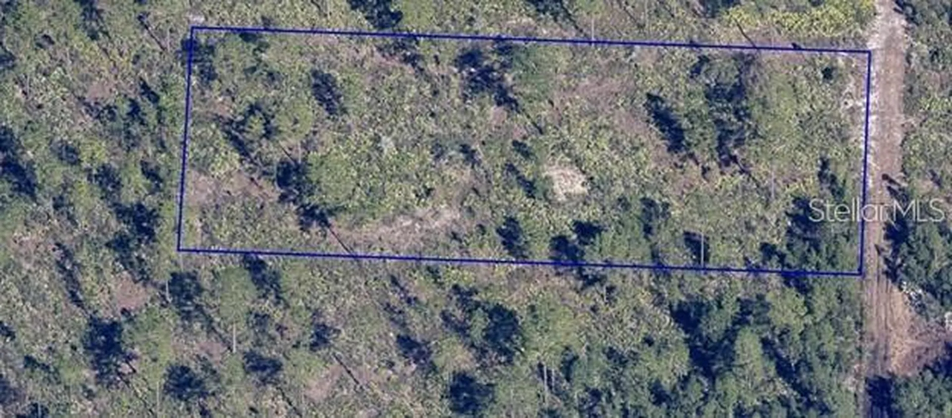 Dill Road Orlando FL 32820