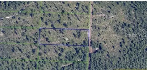 Dill Road Orlando FL 32820