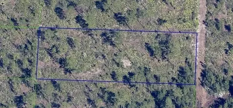 Dill Road Orlando FL 32820