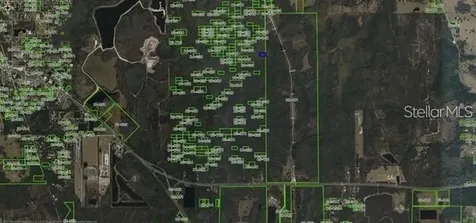 Dill Road Orlando FL 32820