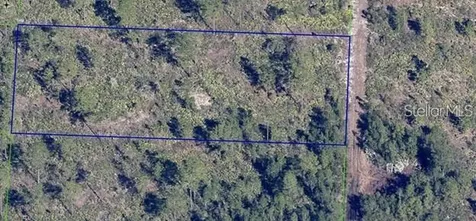 Dill Road Orlando FL 32820