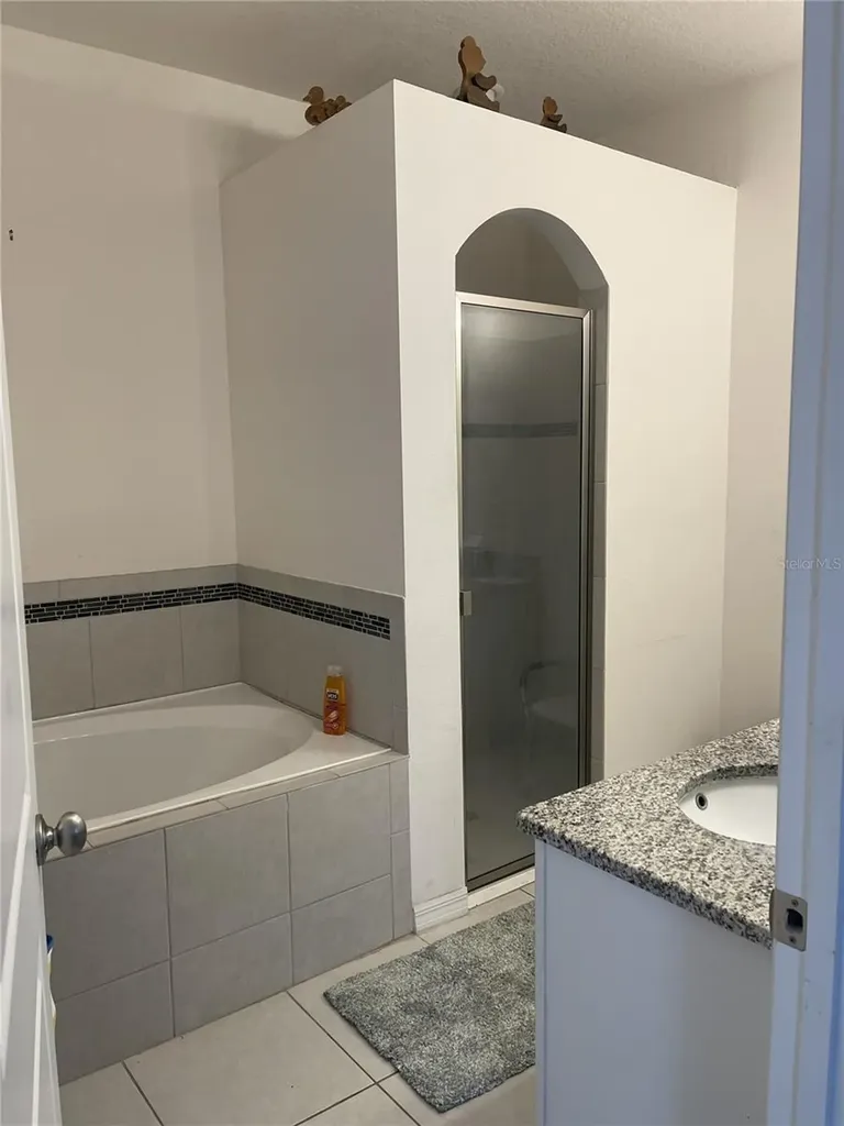 12433 Ballentrae Forest Drive Riverview FL 33579