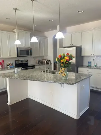 12433 Ballentrae Forest Drive Riverview FL 33579