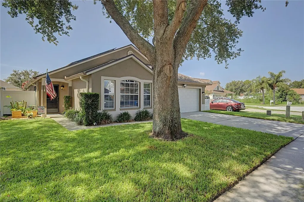24328 Mistwood Court Lutz FL 33559