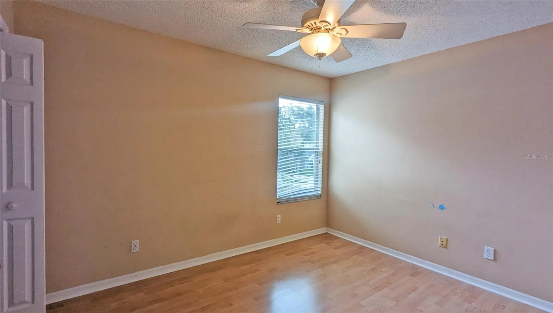 4029 Quail Briar Drive Valrico FL 33596