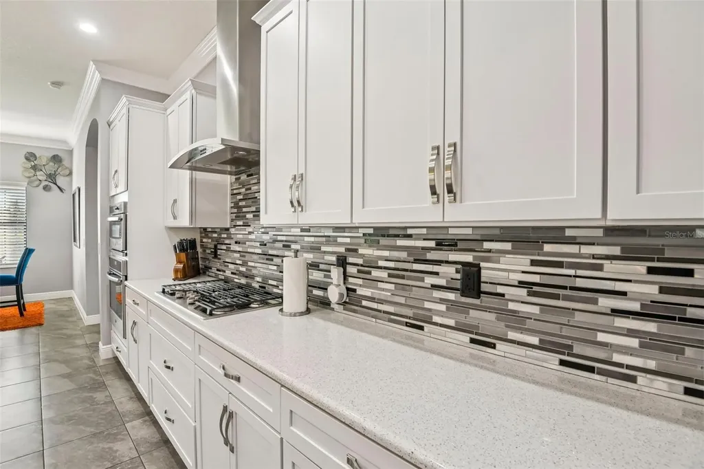 19529 Hayden Lake Court Land O Lakes FL 34638