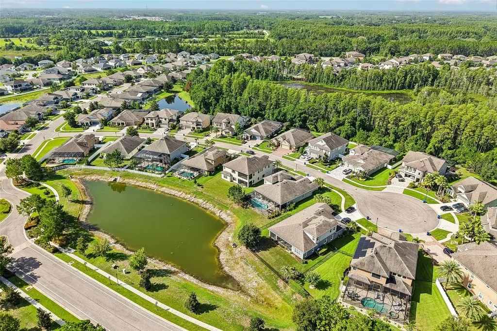 19529 Hayden Lake Court Land O Lakes FL 34638