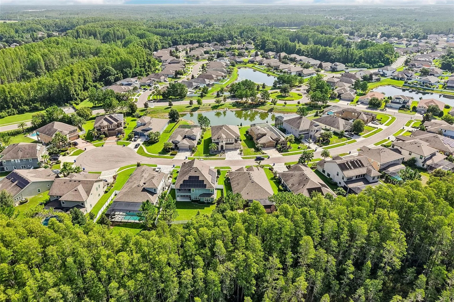 19529 Hayden Lake Court Land O Lakes FL 34638