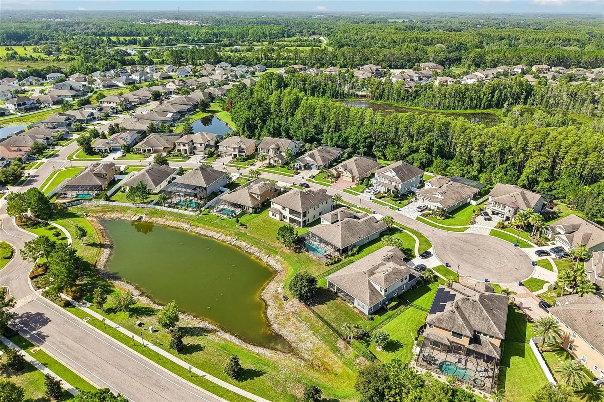 19529 Hayden Lake Court Land O Lakes FL 34638