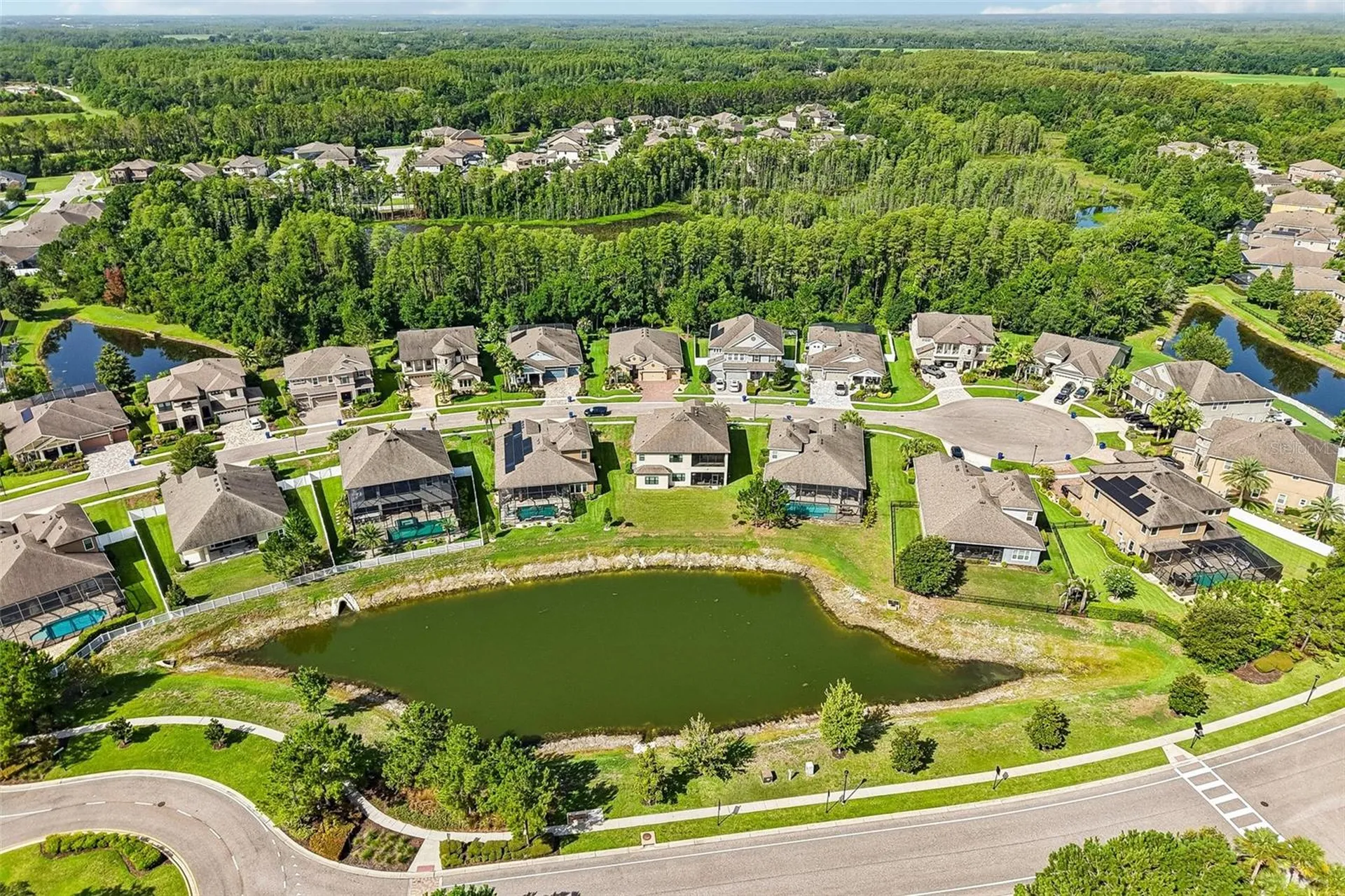 19529 Hayden Lake Court Land O Lakes FL 34638
