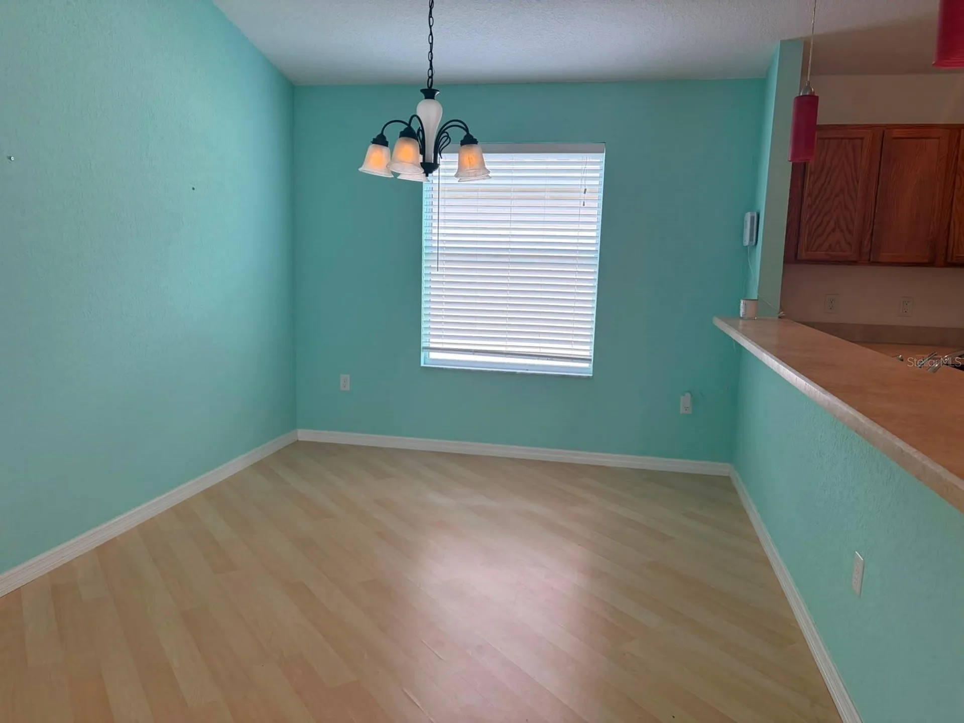 4921 NE 123rd Lane Oxford FL 34484