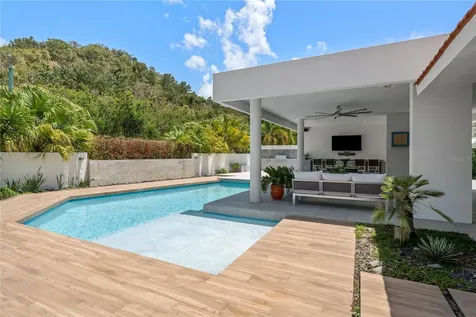 530 Camino De Guillarte Dorado PR 00646