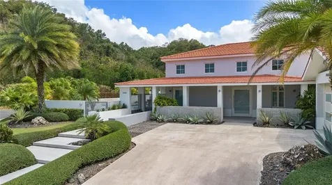 530 Camino De Guillarte Dorado PR 00646