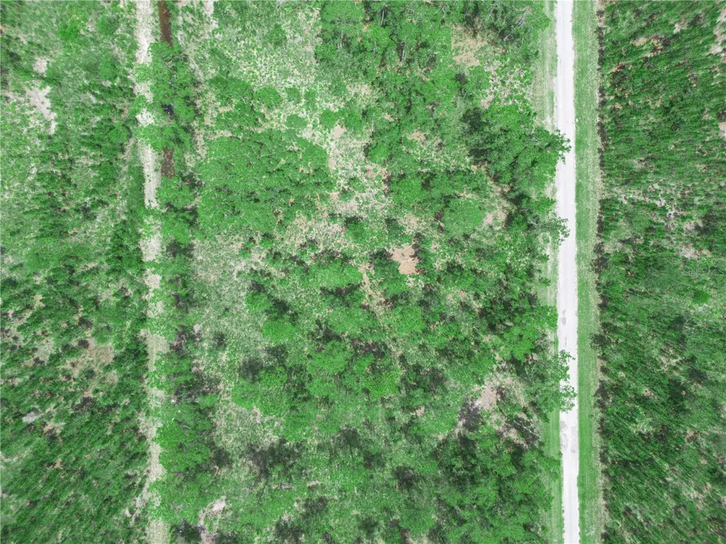 0 Valencia Drive Indian Lake Estates FL 33855