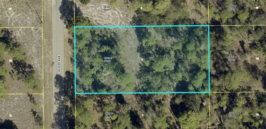 1318 Scott Avenue Lehigh Acres FL 33972