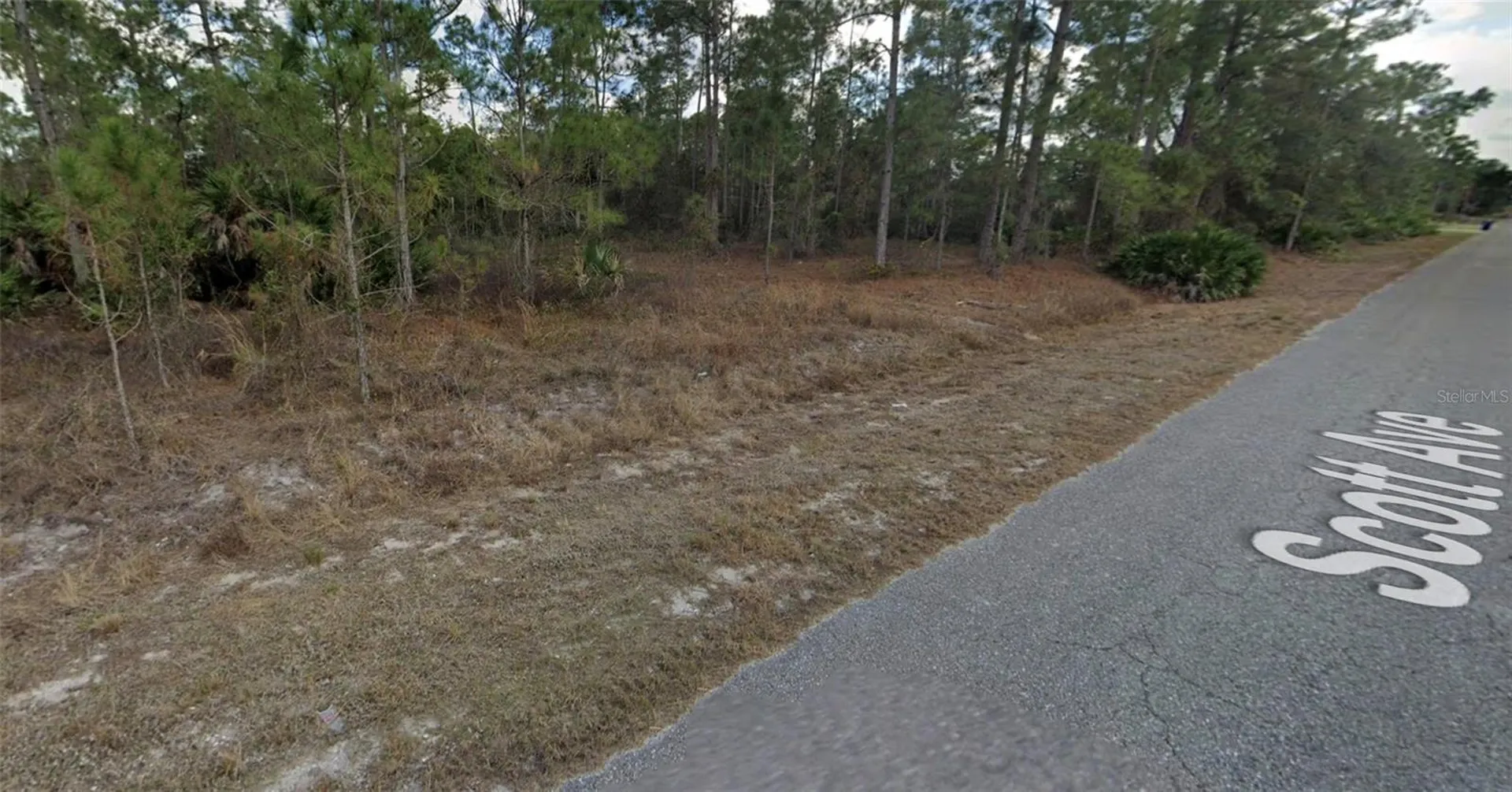1318 Scott Avenue Lehigh Acres FL 33972