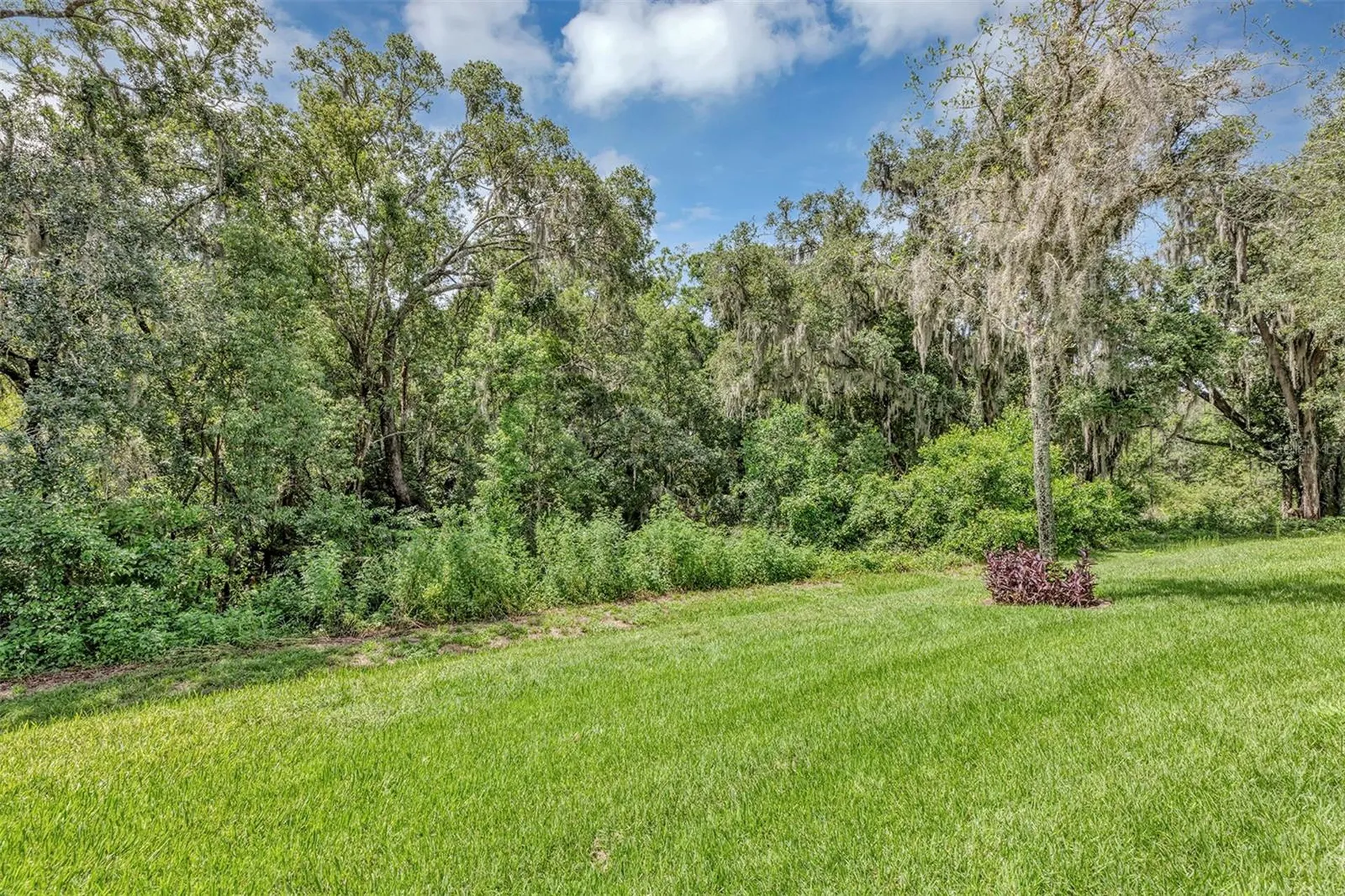 4348 Antietam Creek Trail Leesburg FL 34748