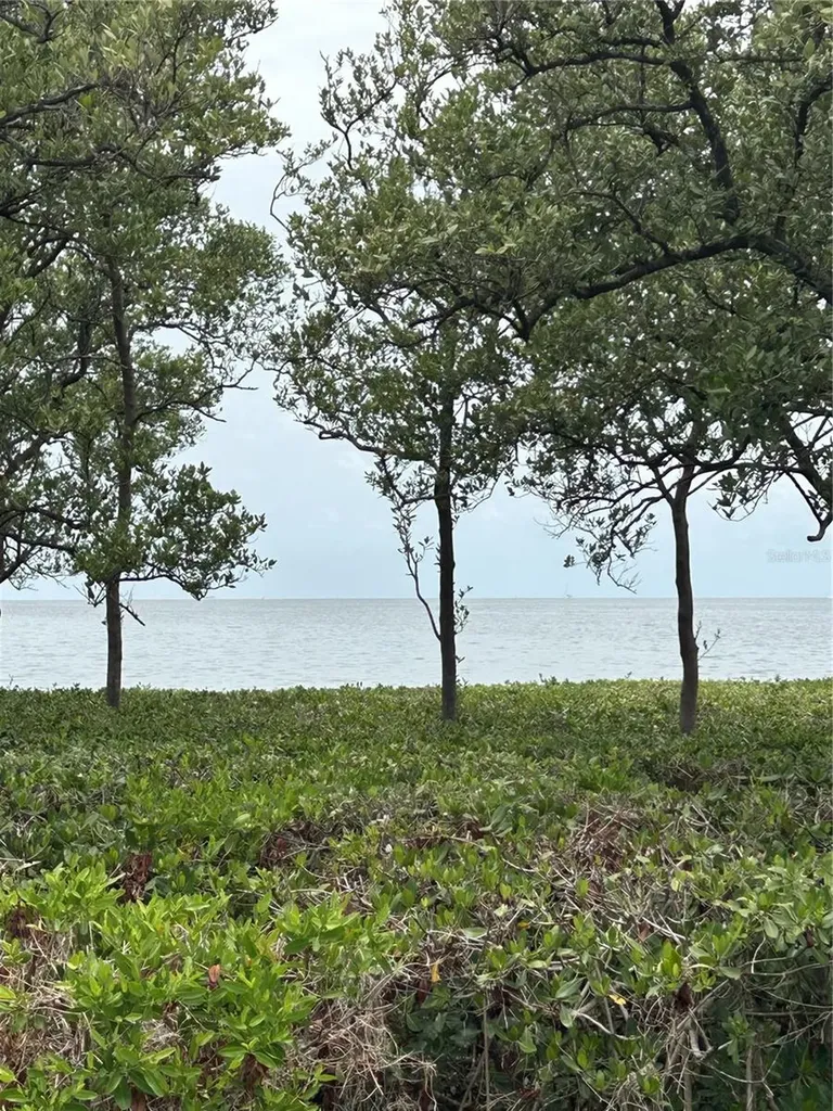 1612 Gulf Beach Boulevard Tarpon Springs FL 34689