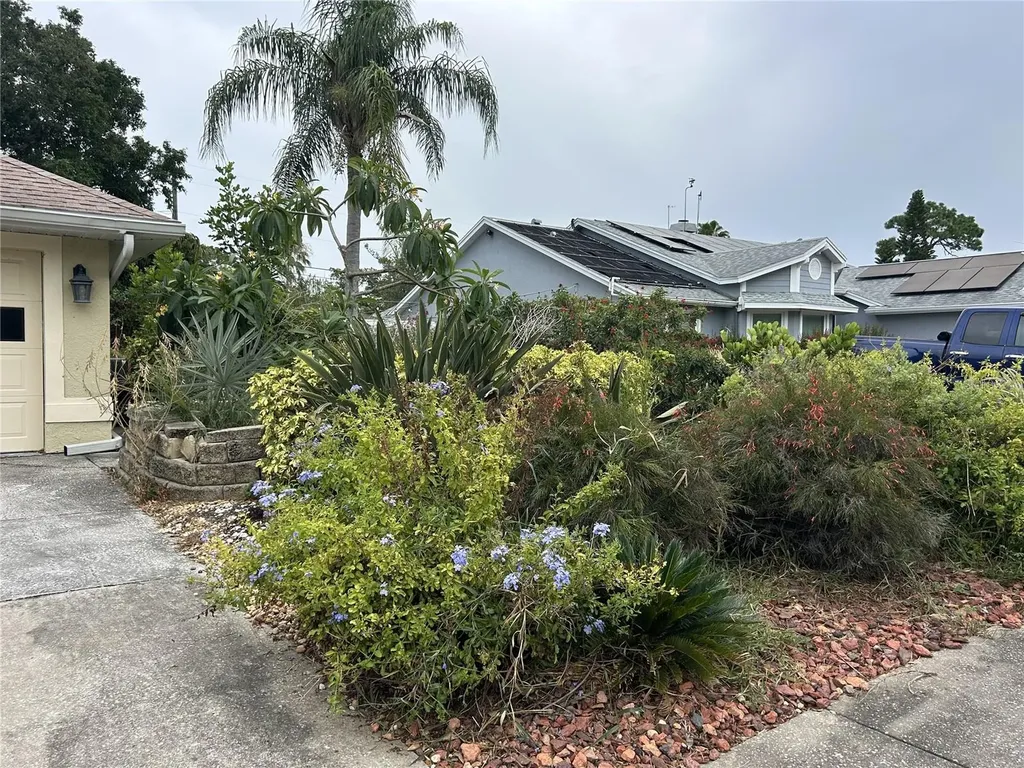 1612 Gulf Beach Boulevard Tarpon Springs FL 34689