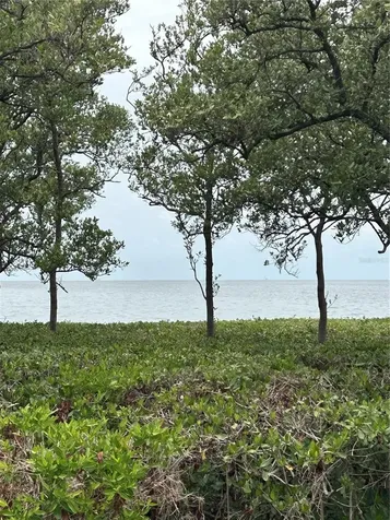 1612 Gulf Beach Boulevard Tarpon Springs FL 34689