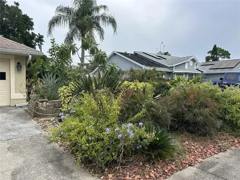 1612 Gulf Beach Boulevard Tarpon Springs FL 34689