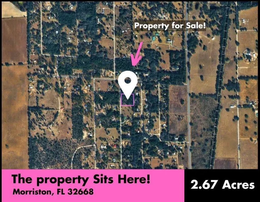 SE 194th Court Morriston FL 32668