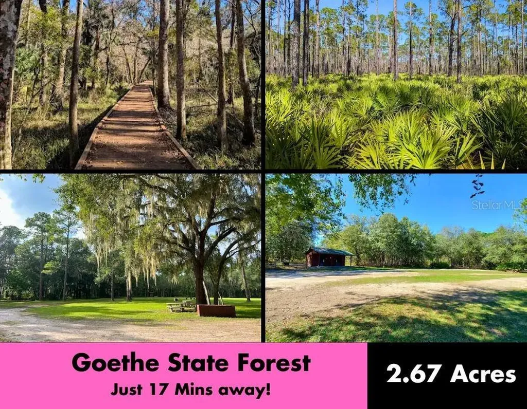 SE 194th Court Morriston FL 32668