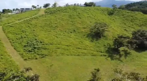 962 Lukeluz Canovanas PR 00729