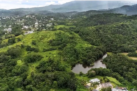 962 Lukeluz Canovanas PR 00729