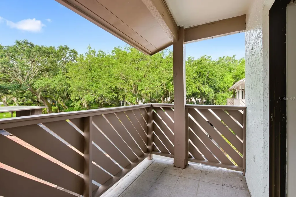 511 Mistletoe Court Safety Harbor FL 34695