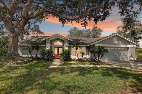 2828 Woodrose Court Holiday FL 34691